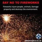 Say NO to Fireworks!