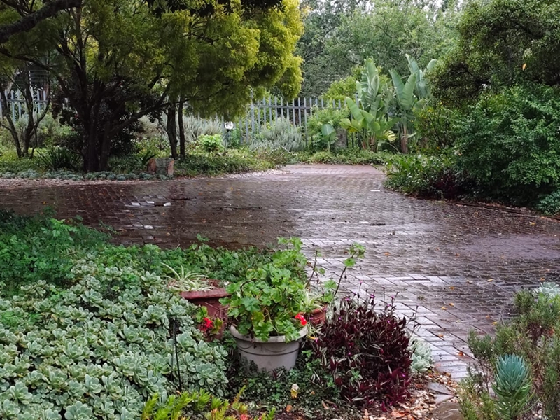 m_Belvedere garden 1