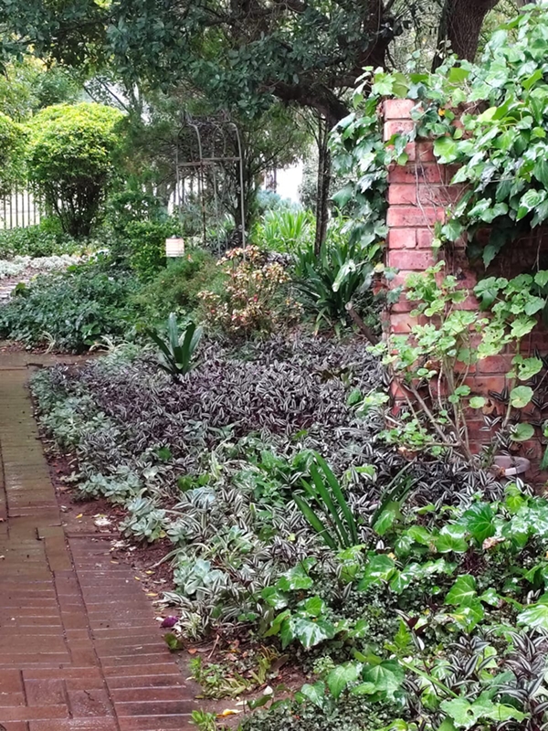 m_Belvedere garden 2